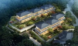 郑州蓝城最新事件爆料,揭秘最新爆料背后的真相与争议