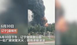 辽宁最新爆料新闻事件,神秘事件引发社会关注