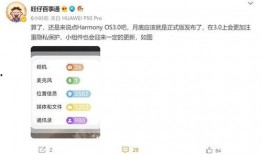 3.0大版本最新爆料,创新突破，引领未来科技潮流