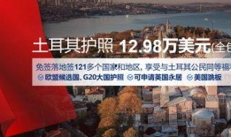 土耳其移民最新爆料,揭秘移民潮背后的真相与挑战