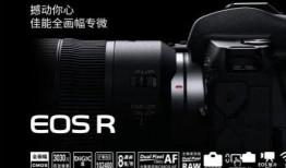 佳能r1的最新爆料是什么,专业级全画幅相机即将亮相，性能参数大揭秘！