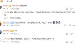 最新爆料暴雪视频播放网站,揭秘神秘功能与独家内容