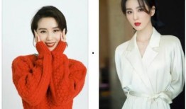 杨幂周冬雨最新爆料,揭秘娱乐圈背后的秘密与真相