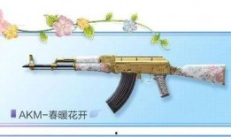 akm最新皮肤爆料,炫酷造型与独特技能，带你领略枪械之美