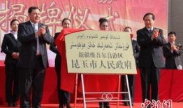 新疆热门爆料新闻最新,神秘事件引发热议，真相即将揭晓！