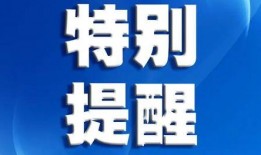 深圳爆料最新新闻消息视频,视频揭示城市动态与热点事件