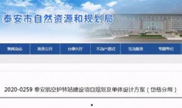 山东泰安爆料最新消息,最新爆料揭示惊人真相