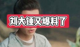 刘大锤最新爆料消息今天,今日热点事件深度解析