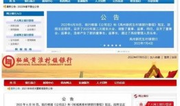 银行最新爆料,揭秘金融行业变革与风险挑战