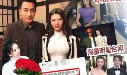 获嘉离婚爆料最新,真相与争议交织的婚姻裂痕